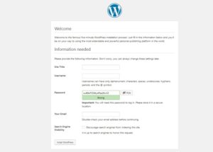 how to install wordpress website details input